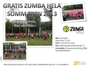 Zumba i Sjödalsparken 2013